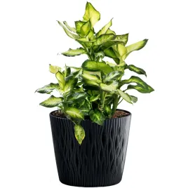 doniczka-z-wkladem-oslonka-sandy-round-158-cm