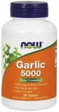 garlic-5000-odor-controlled-90-tablets