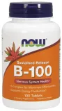 vitamin-b-100-sustained-release-100-tablets