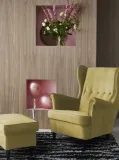 fotel-uszak-rodzaj-uszak