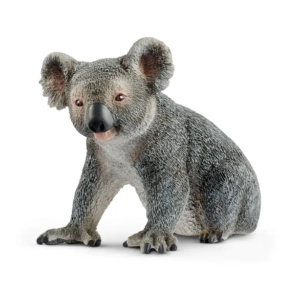 mis-koala-slh14815-stan-nowy