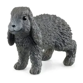 krolik-lop-slh13935