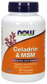 celadrin-and-msm-500mg-120-caps