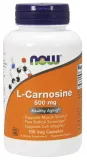 l-carnosine-500mg-100-vcaps
