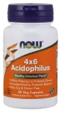 acidophilus-4x6-60-vcaps