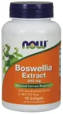 boswellia-extract-500mg-90-softgels