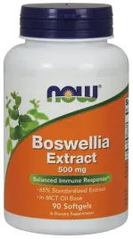 boswellia-extract-500mg-90-softgels
