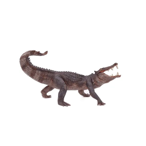kaprosuchus-plec-chlopcy-dziewczynki
