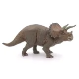 triceratops-plec-chlopcy