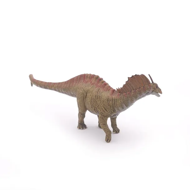 amargazaur-plec-chlopcy-dziewczynki