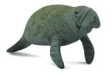slon-morski