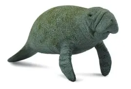 slon-morski