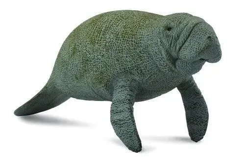 slon-morski