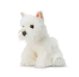 pluszowy-westie-plec-chlopcy-dziewczynki