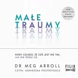 cd-mp3-male-traumy