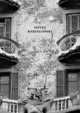 notes-barcelonski-stan-nowy