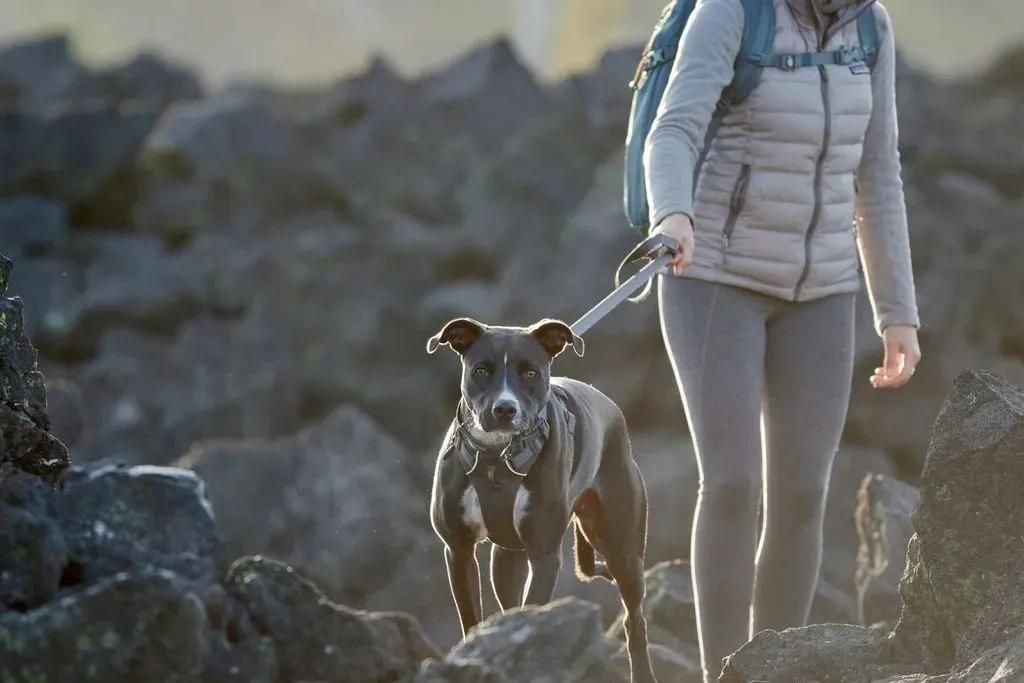 ruffwear-front-range-harness-szelki-dla-psa-red-canyon-m