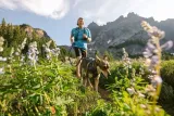 ruffwear-front-range-harness-szelki-dla-psa-spring-mountains-s-cechy-dodatkowe-bezuciskowe-elementy-odblaskowe