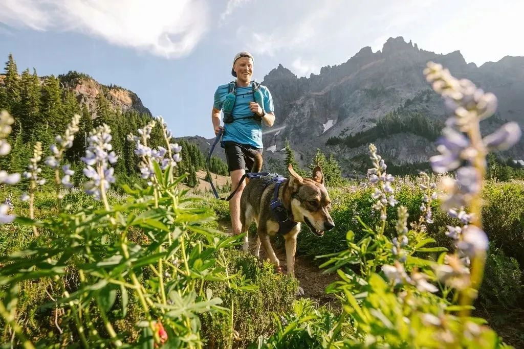ruffwear-front-range-harness-szelki-dla-psa-spring-mountains-s