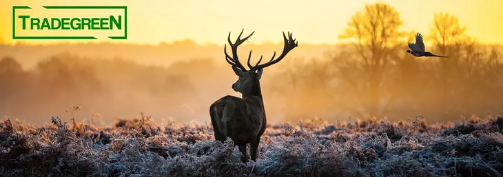 zatyczka-do-predatora-korek-wabika-scotch-predator-marka-predator