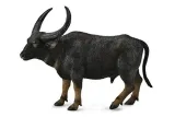 bawol-indyjski