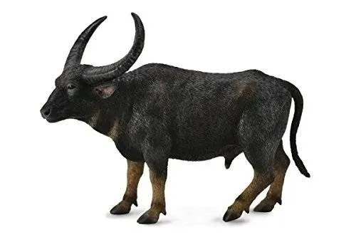 bawol-indyjski