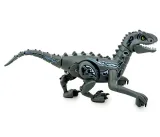 welociraptor-plec-chlopcy-dziewczynki