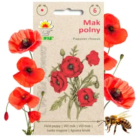 wildflower-mak-polny-czerwony-roslina-miododajna-1-g