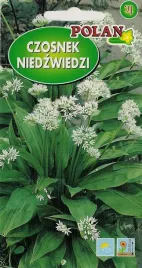 czosnek-niedzwiedzi-05g-polan-nasiona-warzywa