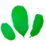piorka-puch-16g-zielone-rodzaj-naturalne