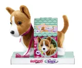 animagic-lizzy-corgi-wiek-dziecka-3-lata