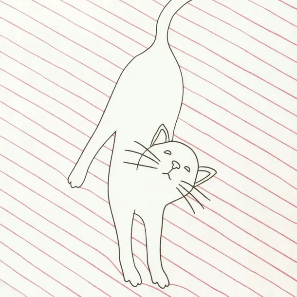 sredni-zeszyt-stay-pawsitive-pink-bohater-brak