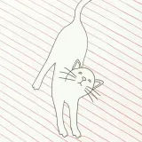 sredni-zeszyt-stay-pawsitive-pink-bohater-brak