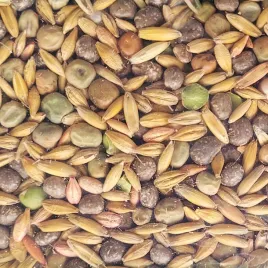 mieszanka-poplonowa-straczkowo-zbozowa-mp-4-nasiona-wzbogaca-w-azot-1kg