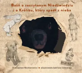 basn-o-zaczytanym-niedzwiedziu-i-o-kroliku-ktory-spadl-z-nieba
