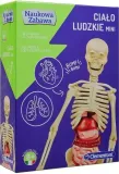 cialo-ludzkie-mini-50515