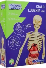 cialo-ludzkie-mini-50515