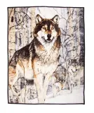 koc-elway-wilki-160x210