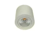 downlight-led-robard-12w-dw