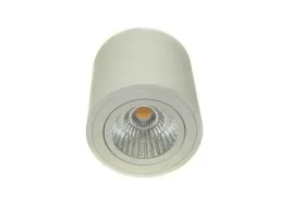 downlight-led-robard-12w-dw