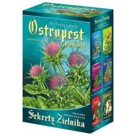 sekrety-zielnika-ostropest-plamisty-fix-asz