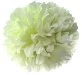 chryzantema-glowka-krem-sztuczne-kwiaty-sr-15-cm