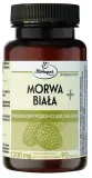 morwa-biala-90-tabletek-herbapol-krakow