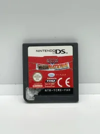 cars-mater-national-nintendo-ds-pal