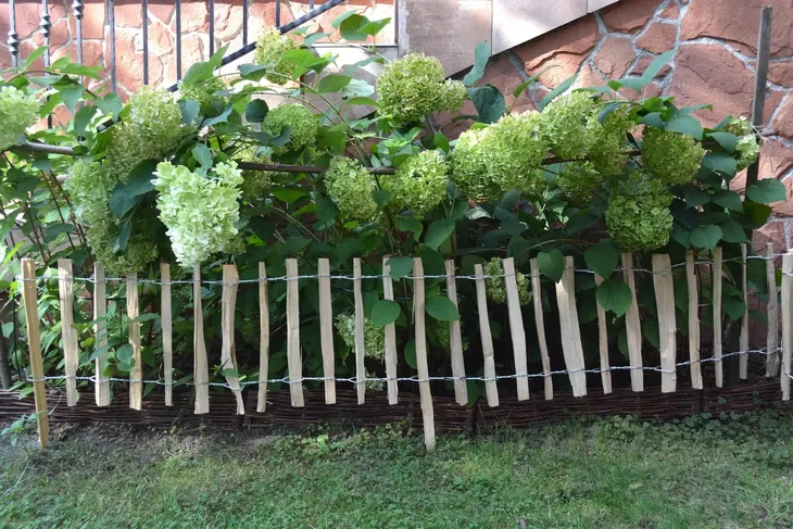 plot-leszczynowy-typ-rollborder-35-cm-x-300-cm