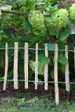 plot-leszczynowy-typ-rollborder-35-cm-x-500-cm
