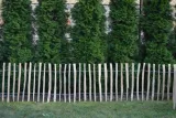 plot-leszczynowy-90-cm-x-300-cm