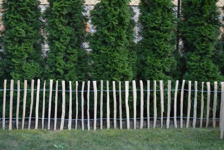 plot-leszczynowy-120-cm-x-300-cm-stan-nowy