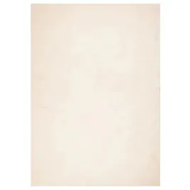 dywan-huarte-z-krotkim-wlosiem-bezowy-240x340-cm