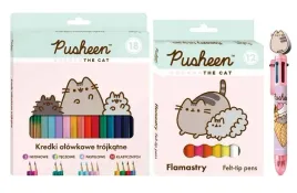 wyprawka-szkolna-do-szkoly-kot-pusheen-kredki-flamastry-dlugopis-na-prezent